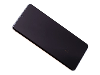 Originál LCD + Dotyková vrstva Samsung Galaxy S20 Ultra SM-G988 stříbrno-šedá bez kamery